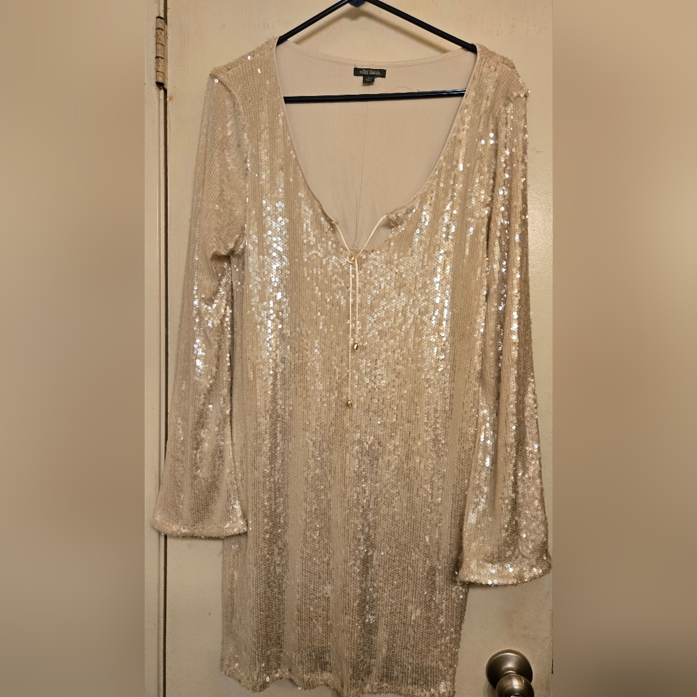 Wild Fable Dress In Champagne Sequence NWOT